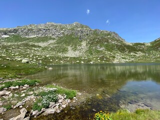 Summer atmosphere on the Lago dei Morti or Lake of the Dead (Totensee) in the Swiss alpine area of...