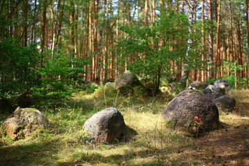 Megalithic tomb Kaisergrab in the German forest near Magdeburg