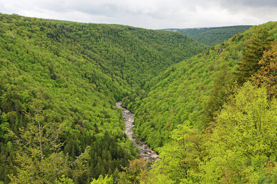 Blackwater Canyon - West Virginia