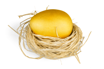 Golden egg in nest isolated on white background