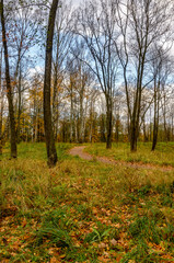 Autumn landscapes in the Sergeevka park on the territory of the former estate of the Leuchtenbergskys in the Leningrad region.