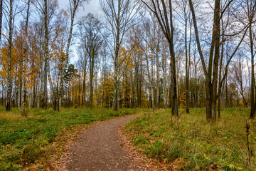 Fototapeta premium Autumn landscapes in the Sergeevka park on the territory of the former estate of the Leuchtenbergskys in the Leningrad region.