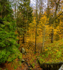 Autumn landscapes in the Sergeevka park on the territory of the former estate of the Leuchtenbergskys in the Leningrad region.