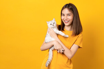 Studio shot of cheerful beautiful Asian woman hands holding a small white kitten with black stripes, of the Scottish fold breed on orange background.