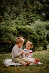 Naklejka na ściany i meble boy and girl eating ice cream sitting in the meadow