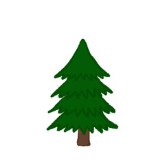 Spruce