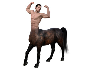3D Rendering : A portrait of the handsome male centaur posing his body flexing his arms, isolated with white background, PNG transparent
