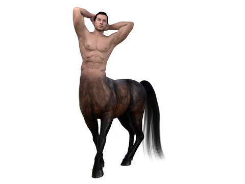 3D Rendering : A portrait of the handsome male centaur posing his body with relaxation, isolated with white background, PNG transparent
