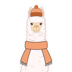 Cute alpaca in a winter hat and scarf. Alpaca portrait isolated on white background. Vector illustration