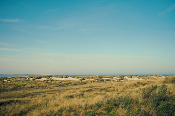 Fototapeta na wymiar north german dune landscape on with meadow in sunlight
