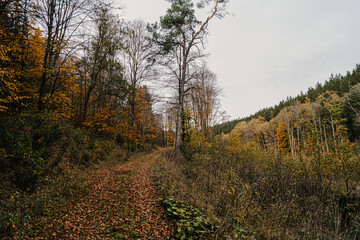 Kronenburg, NRW