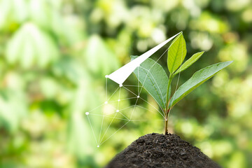 A green seen of nature is growing from the ground, for Eco technology with small Tree Growth In...