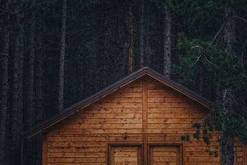 Forest cottage home in pine woodland at night - obrazy, fototapety, plakaty