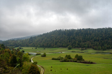 Fototapeta na wymiar Paysage de la campagne de Slovénie avec forêts et prés à l'automne autour de Postojna