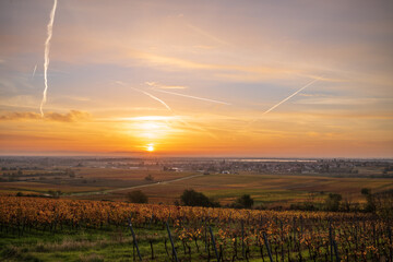 herbstlicher sonnenaufgang über weinbergen und der rheinebene