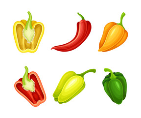 Set of sweet and hot chili peppers. Red, yellow and green whole peppers vector illustration