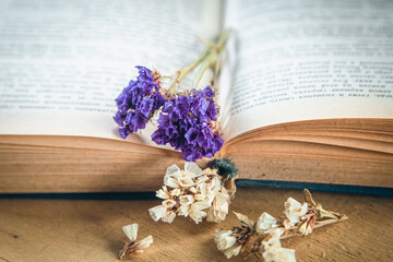 Flower of colorful dried flowers on an open book, close-up.