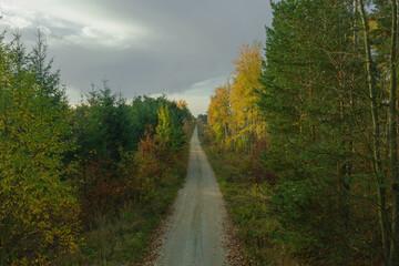 A vast plain covered with a mixed, coniferous deciduous forest. There is a gravel road in the...