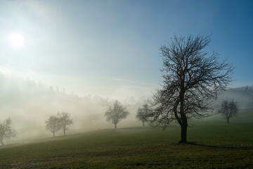 Fototapeta na wymiar wafts of fog in the mountains of Austria
