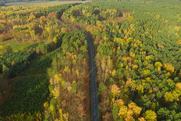 Rozległa równina porośnięta mieszanym, iglasto liściastym lasem. Środkiem przebiega asfaltowa droga. Jest jesień liście mają żółty i brązowy kolor. Zdjęcie z drona. - 542371070
