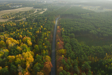 Rozległa równina porośnięta mieszanym, iglasto liściastym lasem. Środkiem przebiega asfaltowa droga. Jest jesień liście mają żółty i brązowy kolor. Zdjęcie z drona. - 542371224