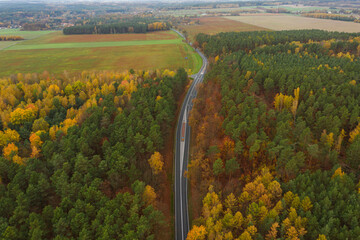 Rozległa równina porośnięta mieszanym, iglasto liściastym lasem. Środkiem przebiega asfaltowa droga. Jest jesień liście mają żółty i brązowy kolor. Zdjęcie z drona. - 542371299