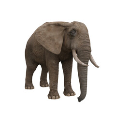African elephant standing still. 3D illustration.