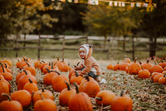 Cute girl wearing fox costume crouching by pumpkins on field