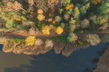Zbiornik wodny, staw hodowlany położony na terenie lasu. Jest jesień, liście na drzewach mają żółty i brązowy kolor. Jest słoneczny dzień, niebo jest bezchmurne. Zdjęcie zrobiono z użyciem drona. - 542372474