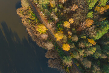 Zbiornik wodny, staw hodowlany położony na terenie lasu. Jest jesień, liście na drzewach mają żółty i brązowy kolor. Jest słoneczny dzień, niebo jest bezchmurne. Zdjęcie zrobiono z użyciem drona. - 542372476
