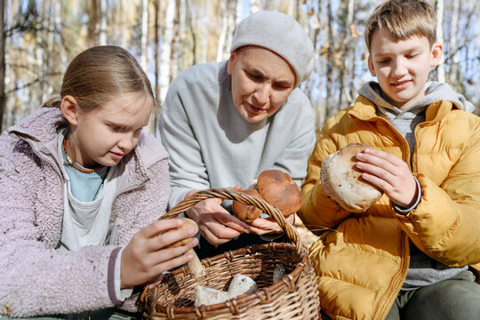 Grandmother with grandchildren analyzing mushrooms in basket