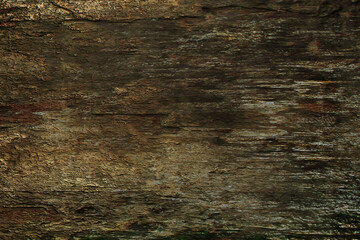 Abstract grunge old wood background. 