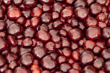 Various sizes of inedible horse chestnut (Aesculus hippocastanum) with burgundy shade for autumn background