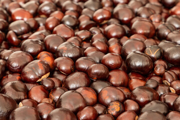 Horizontal photo of horse chestnut (Aesculus hippocastanum) Autumn background of chestnut, with brown shade