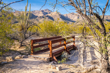 Fototapeta premium An overlooking view of Tucson, Arizona