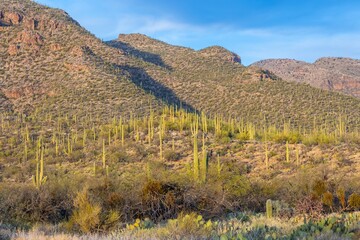 An overlooking view of Tucson, Arizona