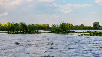 The swamps and wilderness of the Danube Delta in Romania