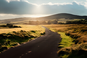  Winding Road Through Moorland
