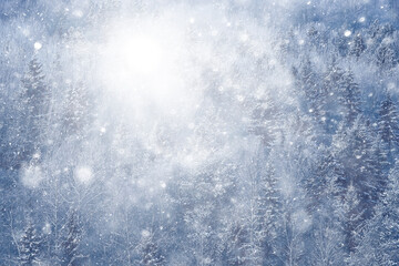 Fototapeta premium winter background snowfall trees abstract blurred white
