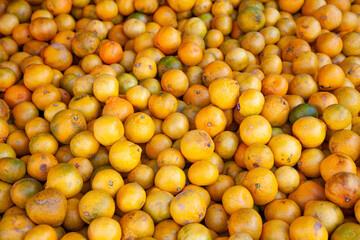 Vitamin C source yellow ripe tangerines and oranges at the grocery counter. Sour fruit.