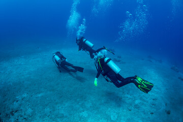 小笠原　ダイビングする女性