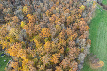 Fototapeta na wymiar Aerial view on multicolored trees in autumn, and green grass, forest, wild nature, river, contrasts. Beautiful autumn in the village. Golf course. 