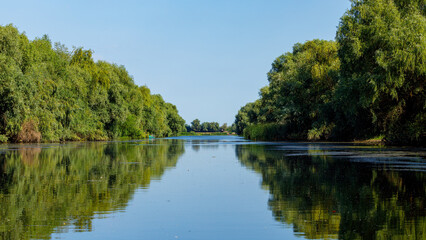 The swamps and wilderness of the Danube Delta in Romania