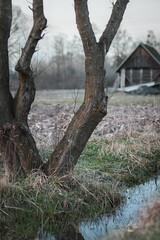 Beautiful autumn season in countryside