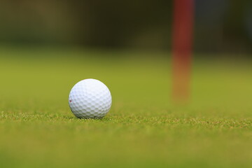 the detail of a golf ball ready to putt