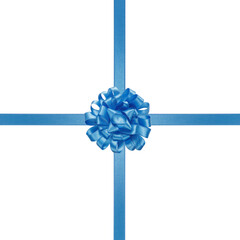 blue gift bow with blue ribbon