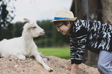 Animal and human friendship between boy and goat