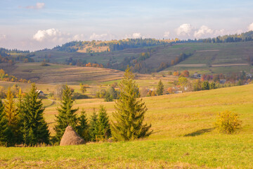 Obraz premium mountainous countryside landscape in autumn. rural fields and pastures among forested hills in dappled light. warm autumn weather. concept of sustainable living in carpathian region