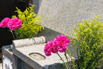 お参りするお墓に備えられた綺麗な花