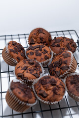 chocolate chips muffins white background black grid rack